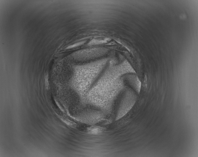 X0000080690564200701121728