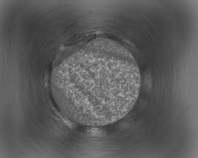 X0000080690565200701121728