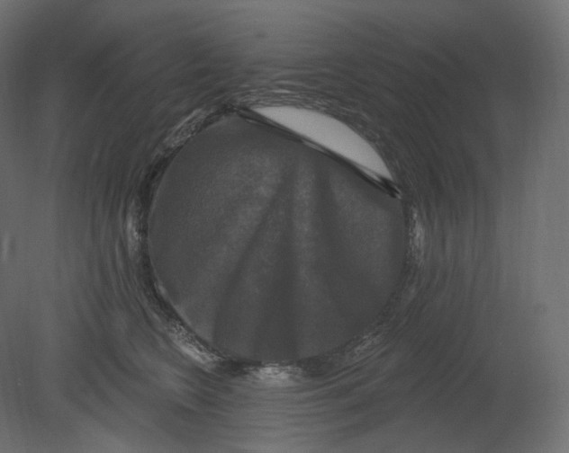 X0000080690566200701121728