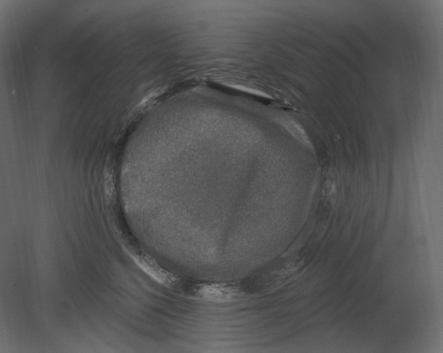 X0000080690568200701121728