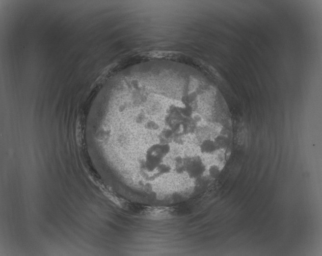 X0000080690569200701121728