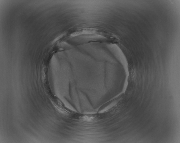 X0000080690570200701121728