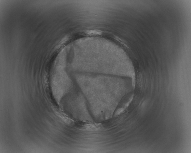 X0000080690571200701121728