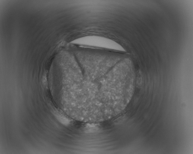 X0000080690573200701121728