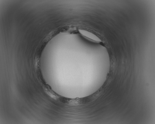 X0000080690574200701121728