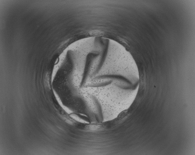 X0000080690575200701121728