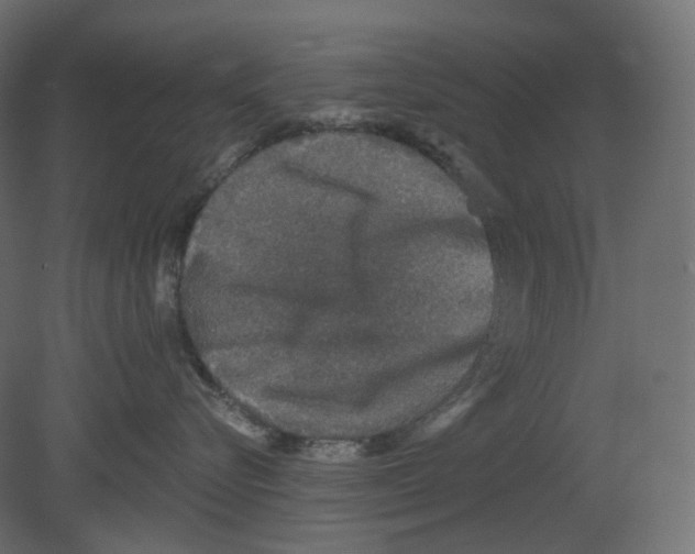 X0000080690576200701121728