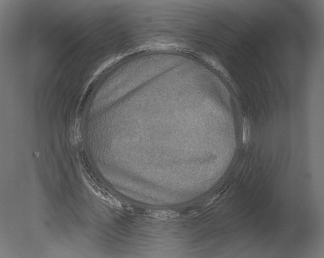 X0000080690579200701121727