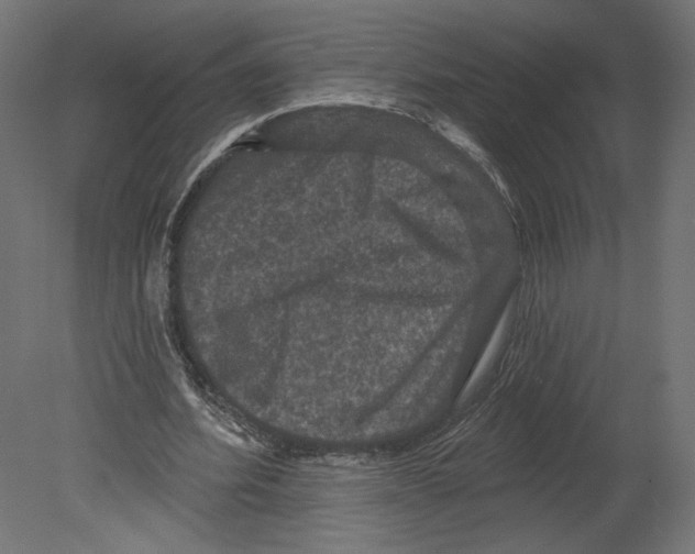 X0000080690580200701121727