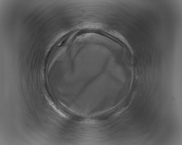 X0000080690581200701121727