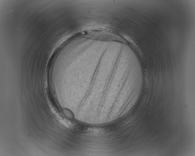 X0000080690582200701121727