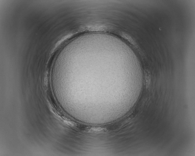 X0000080690583200701121727