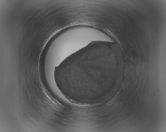 X0000080690584200701121727