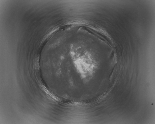 X0000080690585200701121727