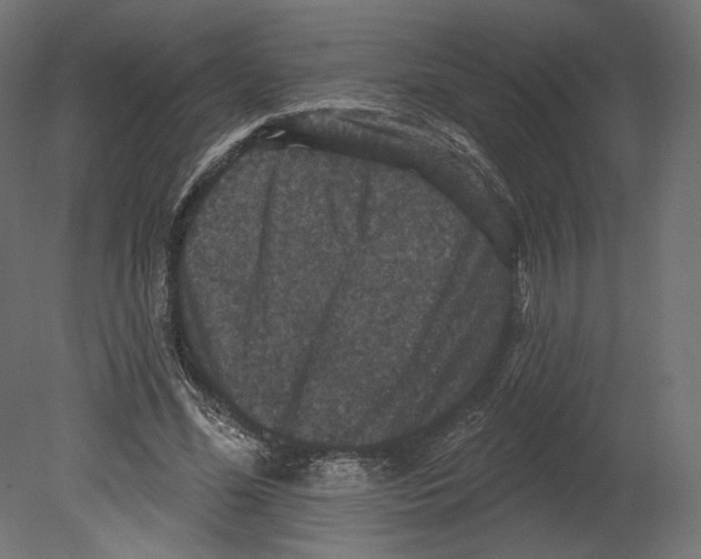 X0000080690588200701121727