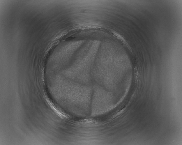 X0000080690589200701121727