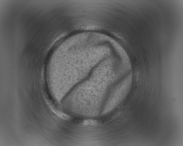 X0000080690591200701121727