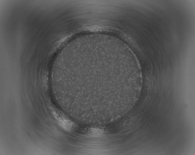 X0000080690592200701121727