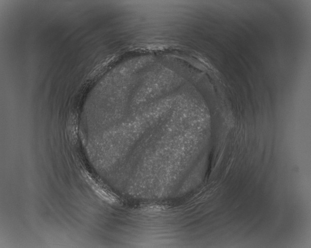 X0000080690593200701121727