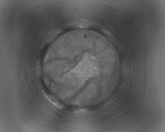 X0000080690594200701121727