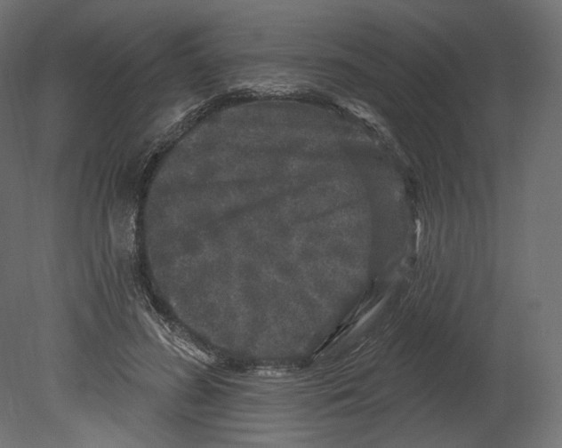 X0000080690596200701121727