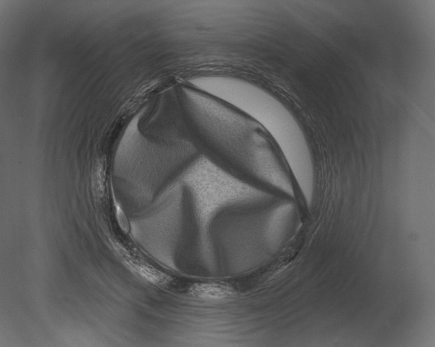 X0000080690597200701121727