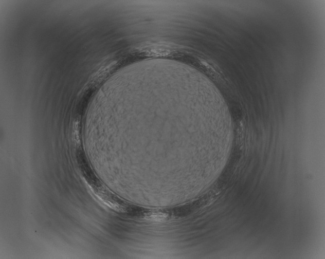 X0000080690598200701121727