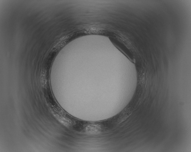 X0000080690599200701121727