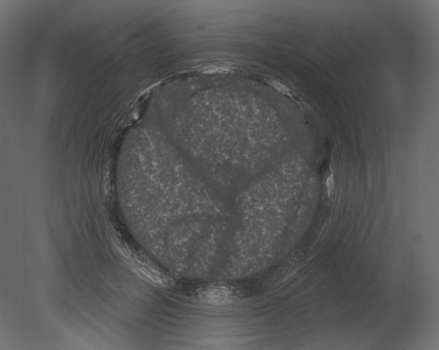 X0000080690600200701121727