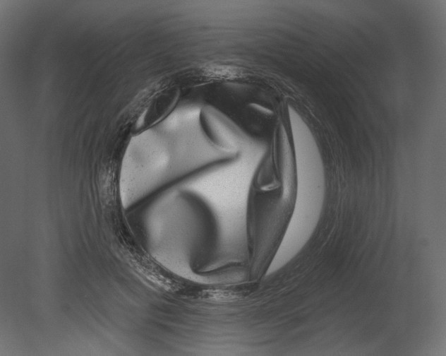 X0000080690601200701121727