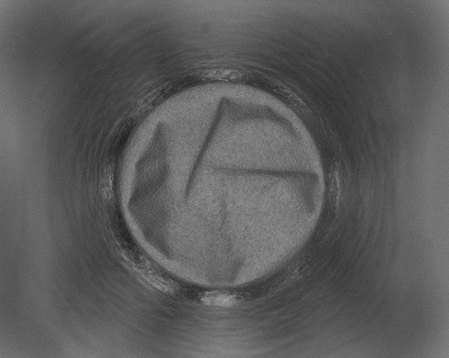 X0000080690602200701121727