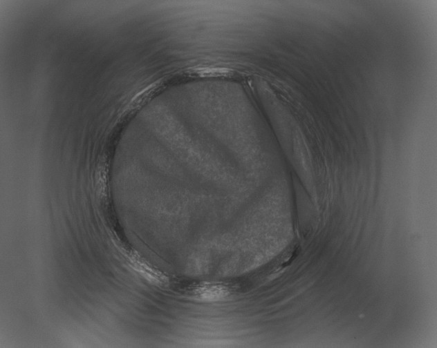 X0000080690604200701121727