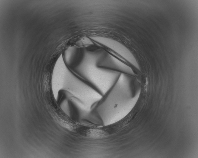 X0000080690605200701121727