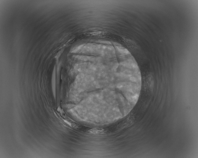 X0000080690606200701121727