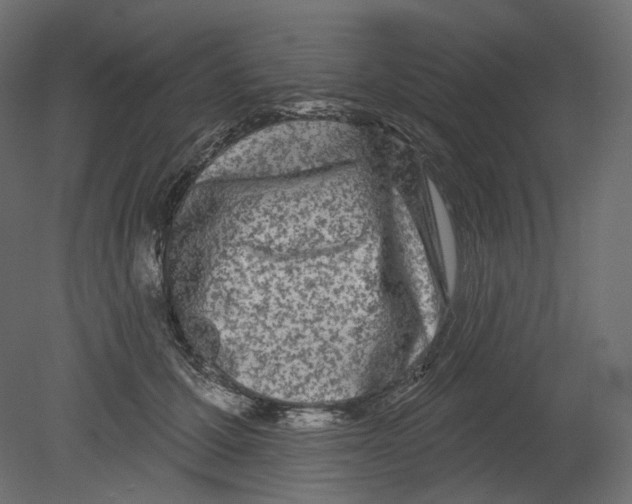 X0000080690607200701121727