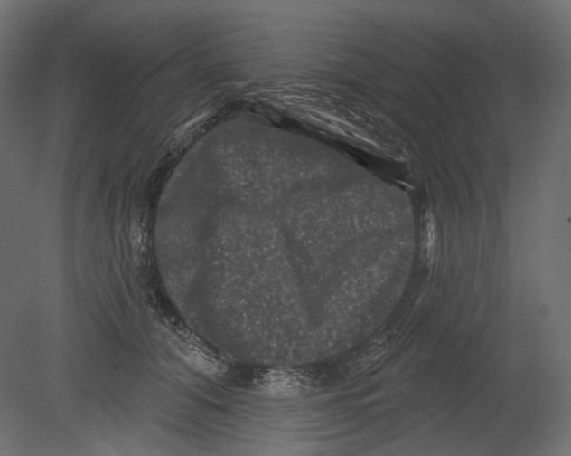 X0000080690608200701121727