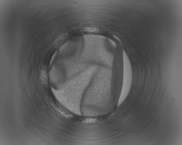 X0000080690609200701121727