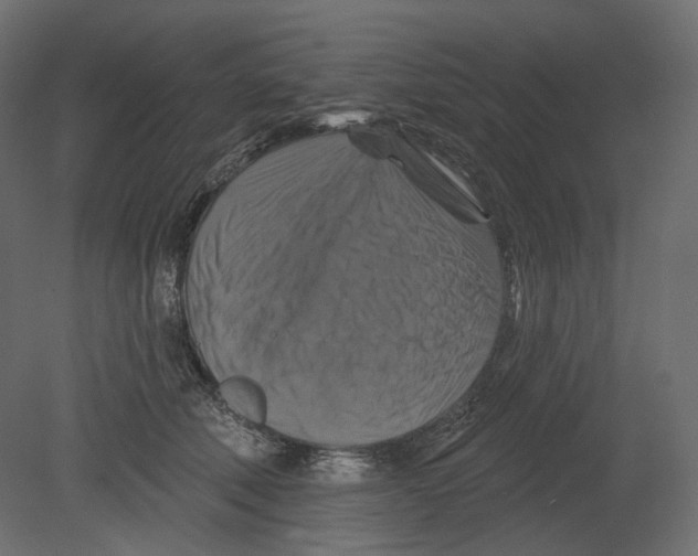 X0000080690610200701121727