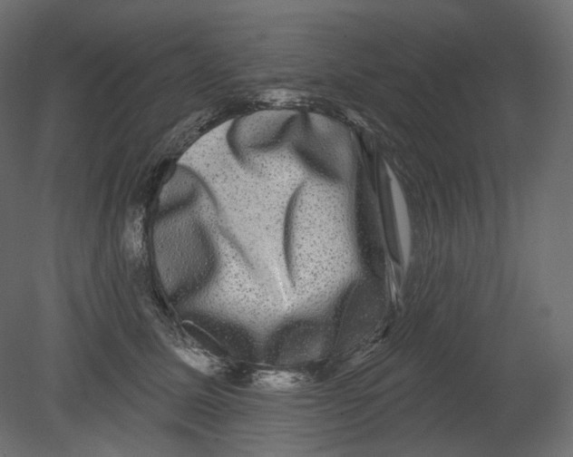 X0000080690611200701121727