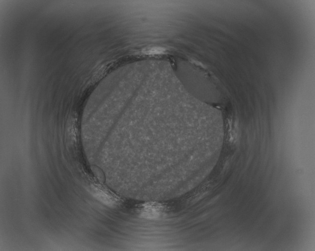 X0000080690612200701121727