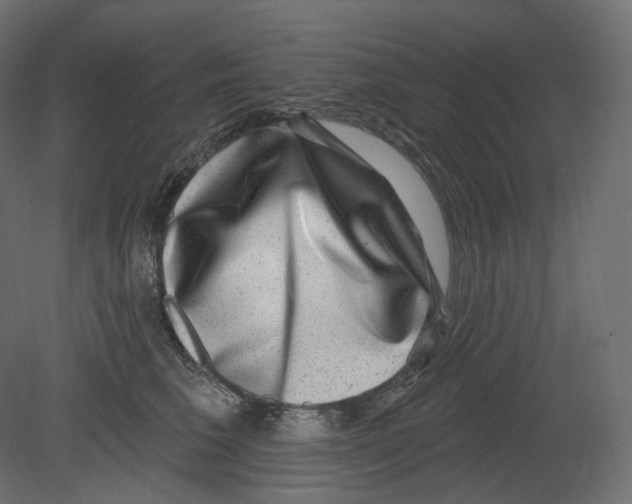 X0000080690613200701121727