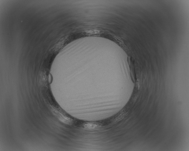 X0000080690614200701121727