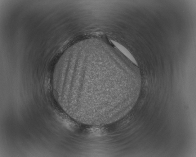 X0000080690615200701121727