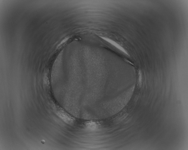 X0000080690616200701121727