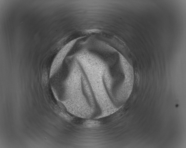 X0000080690617200701121727