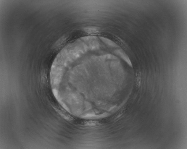 X0000080690618200701121727