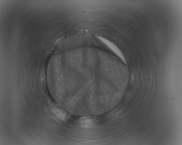 X0000080690620200701121727