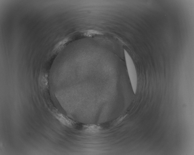 X0000080690621200701121727