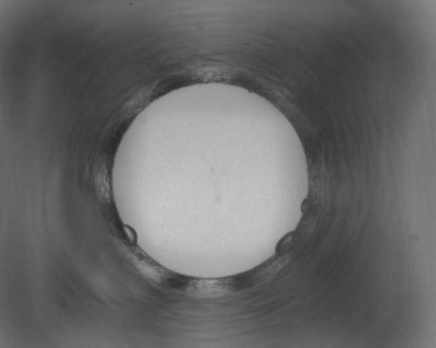 X0000080690622200701121727