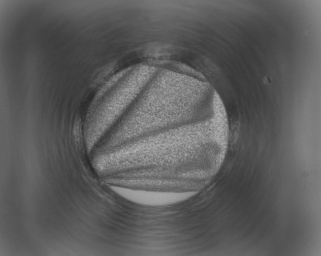 X0000080690623200701121726